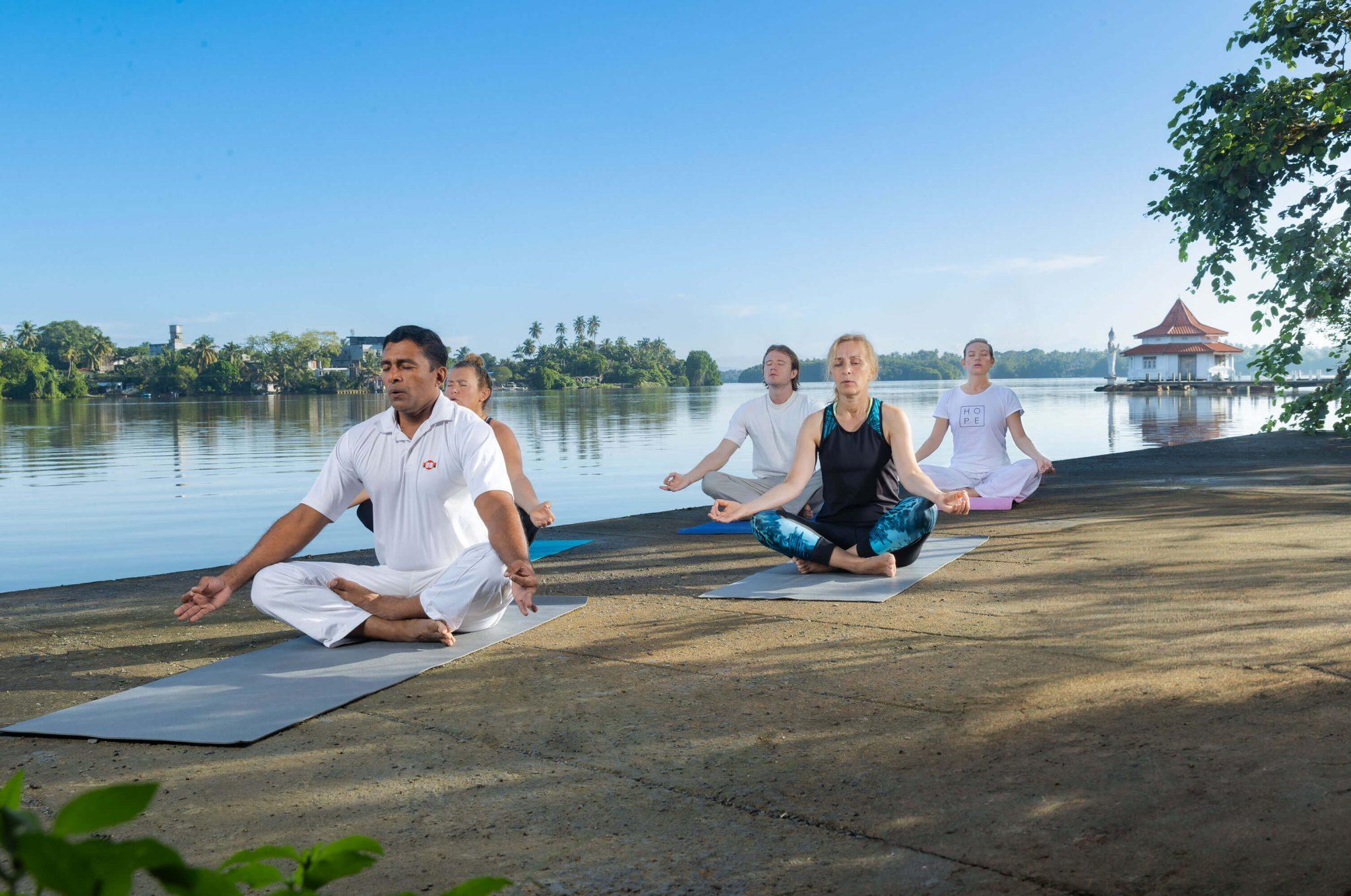 Wildlife photography in natural habitat