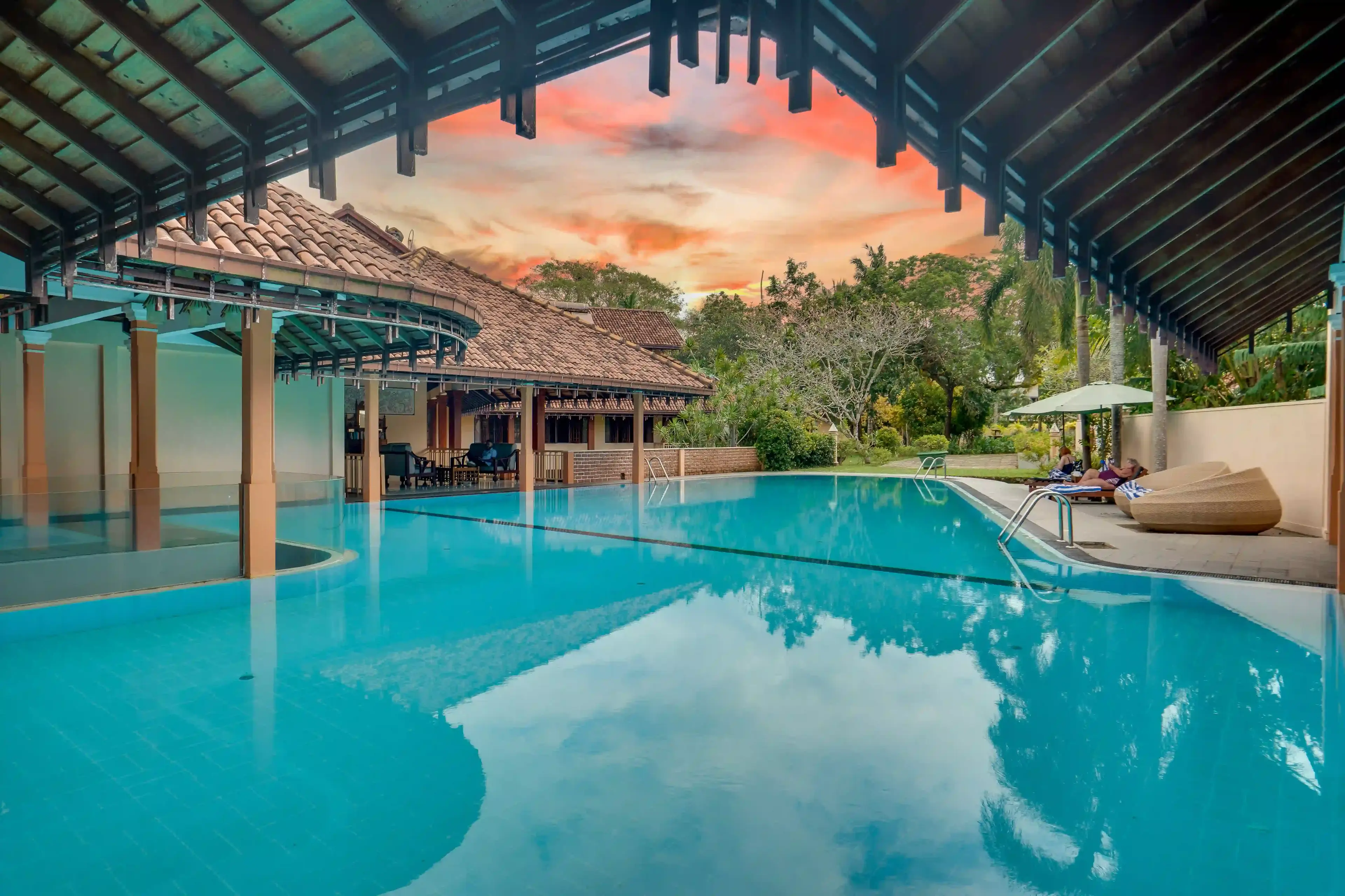 Wildlife photography in natural habitat