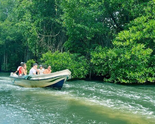 Bentota River Safai