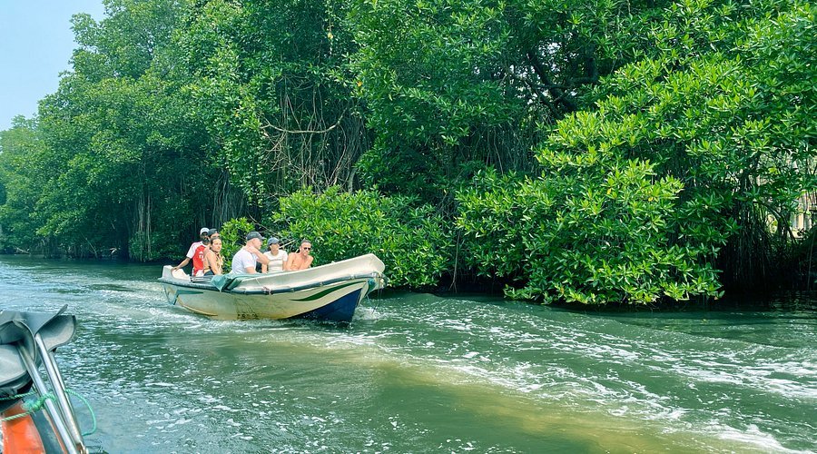 Bentota River Safai