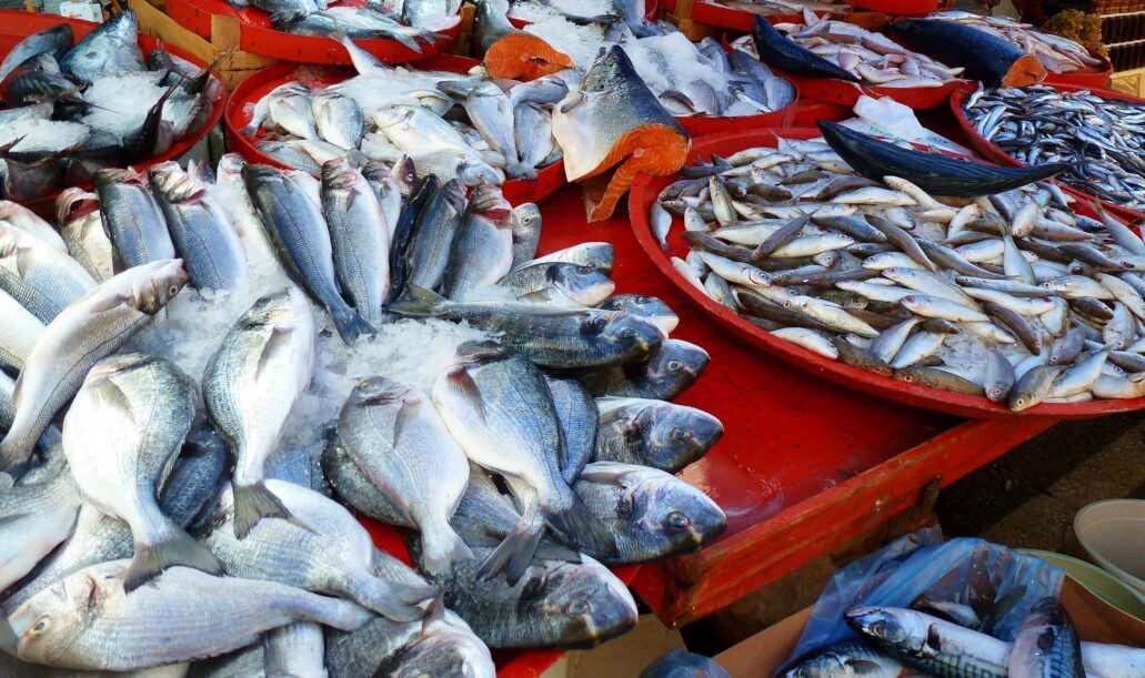 Bruwala Fish Market