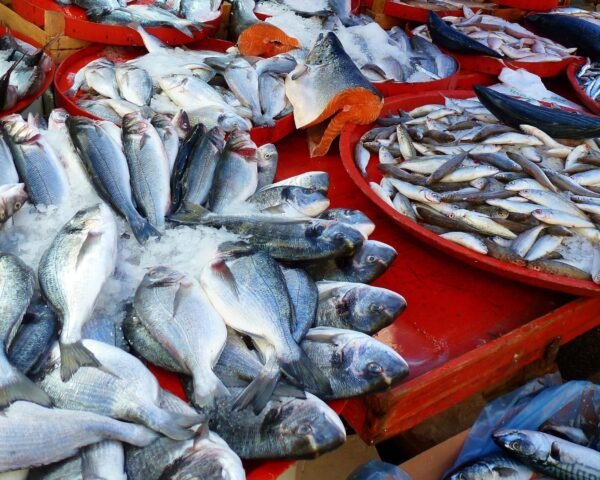 Bruwala Fish Market